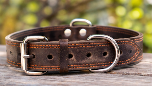 Dog Collar Majestic Leather