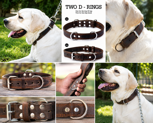Heavy Duty Dark Brown Grazy Horse Genuine Leather Dog Collar – Rugged Elegance — front view | Majestic Leather UK