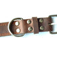 Dog Collar Majestic Leather