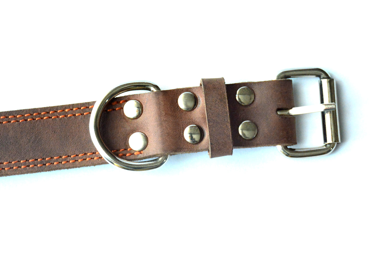 Dog Collar Majestic Leather