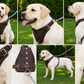 Crazy Horse Brown Belt Style Buckles Leather Dog Harness | Majestic Leather Majestic Leather